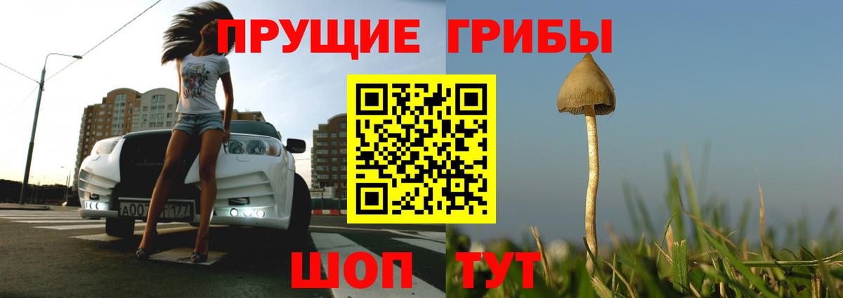 Псилоцибиновые грибы прущие грибы  Вход с VPN  Лесосибирск  Псилоцибиновые грибы прущие грибы 